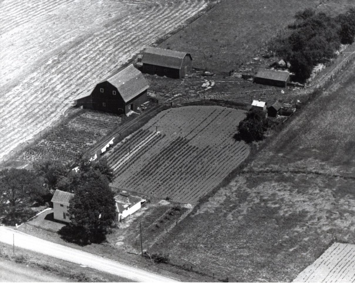 Figure 6 · Arial View of Farm at Albany.
